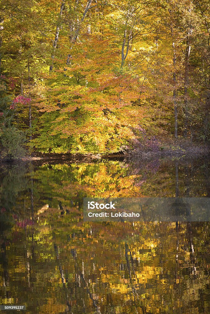 Schöne Herbst See Reflektionen - Lizenzfrei Indiana Stock-Foto