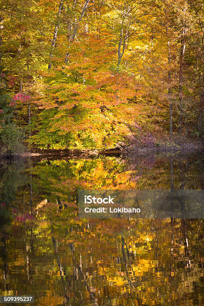 Schöne Herbst See Reflektionen Stockfoto und mehr Bilder von Indiana - Indiana, Landschaft, Ahorn