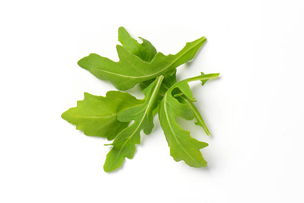 fresh arugula leaves stock photo