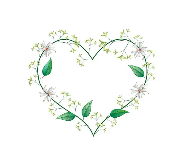 Vector illustration of Night Blooming Jasmines in A Heart Shape