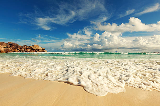 istock amazing nature seychelles islands 509415810