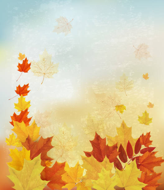 istock Autumn background with colorful leaves. Back to school Vector il 509416855