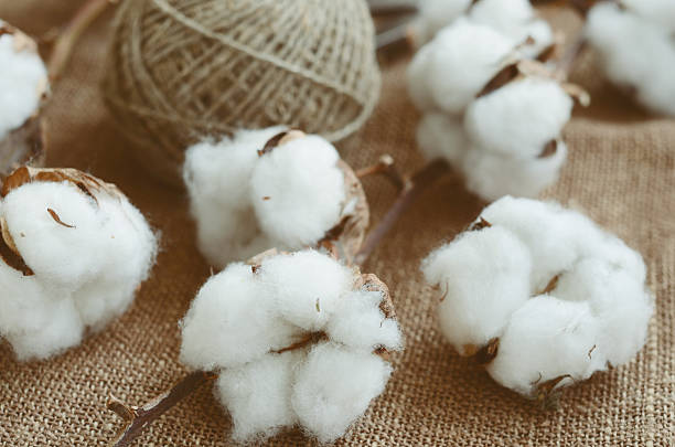 istock Flower design with fluffy cotton bolls and jute rope hank 509418559