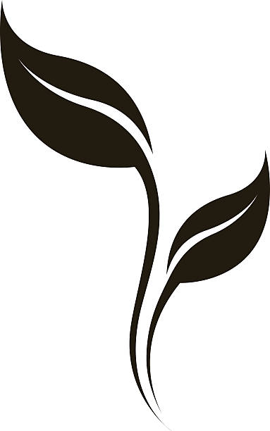 illustrations, cliparts, dessins animés et icônes de illustration vectorielle de la silhouette de la feuille seul sur blanc. - abstract leaf curve posing