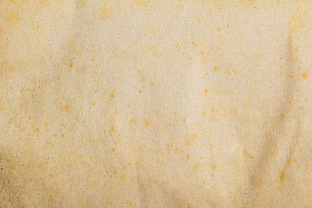istock retro background with texture of old paper 509419349
