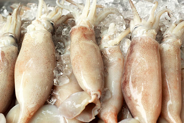 istock Fresh squid in the market 509419969