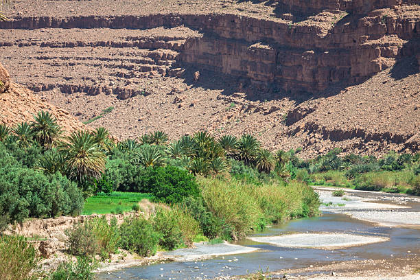 istock Wide view of canyon and cultivated fields and palms 509421800