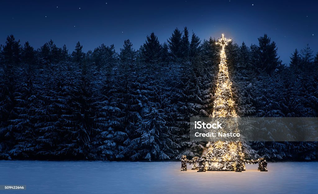 Christmas tree Illuminated christmas tree in the snow at night with copy space Christmas Stock Photo