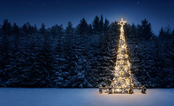 Christmas tree Illuminated christmas tree in the snow at night with copy space glade photos stock pictures, royalty-free photos & images