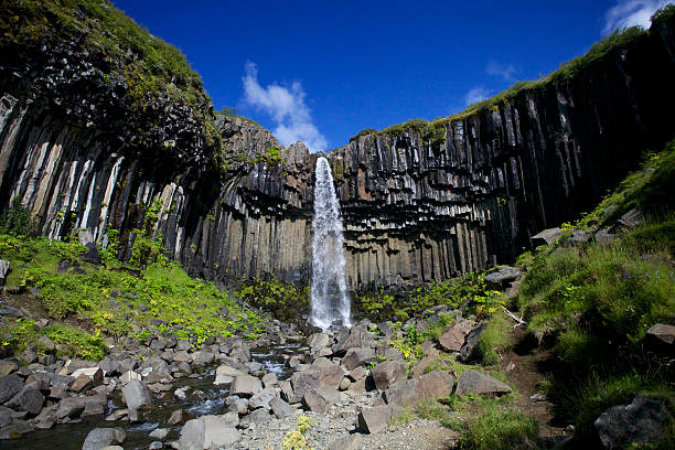 Svartifoss, Iceland Waterfall stock photo