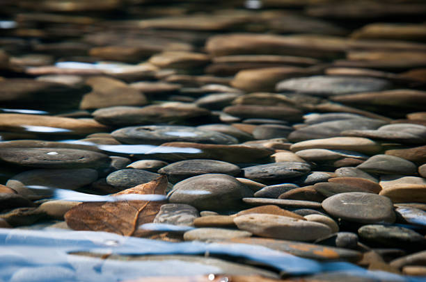 rzeka łóżka - flowing water ripple day plant zdjęcia i obrazy z banku zdjęć