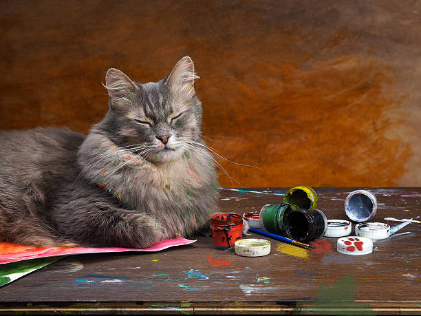 istock Artistic mess with the cat-artist. 509423302