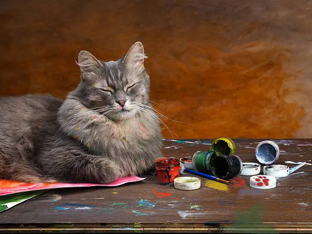Photo of Artistic mess with the cat-artist.