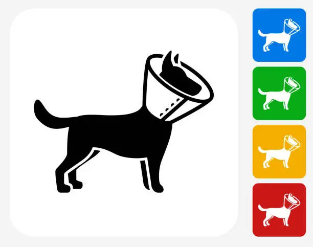 Vector illustration of Dog and Neck Cone Icon Flat Graphic Design