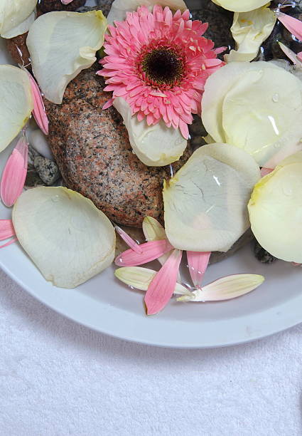 istock flowers in the beauty salon 509424686