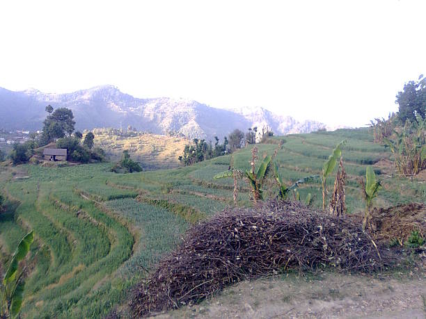 istock Villages in india 509425916