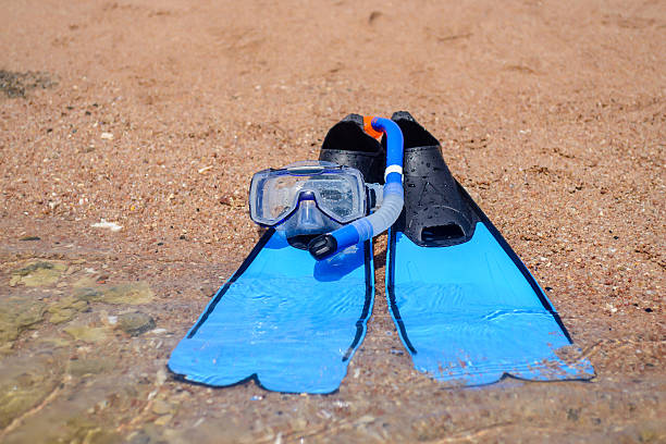 istock Skin diving gear lying ready on the beach 509429392