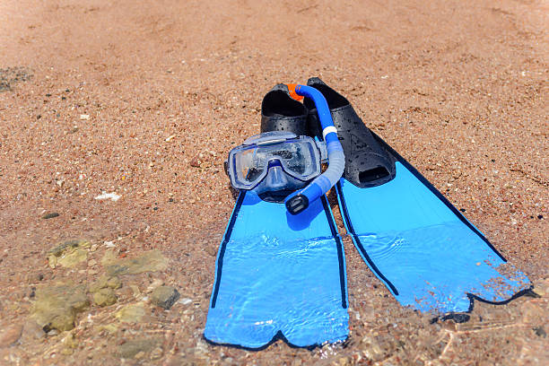 istock Flippers and snorkel lying on a sandy beach 509429628