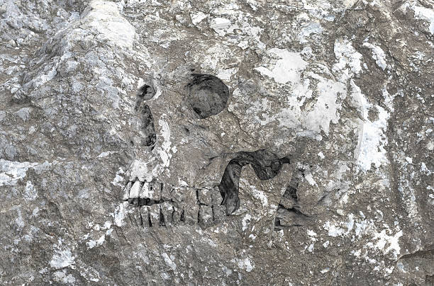 istock human skull in rock background 509430326