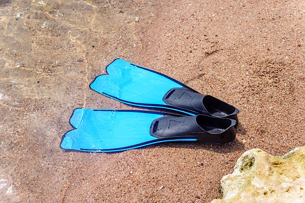 istock Pair of flippers on the seashore 509431440