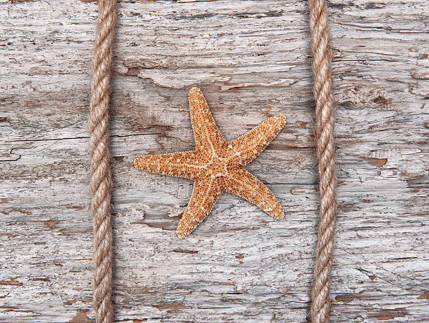 istock Seashell and rope on the old weathered wood 509431558
