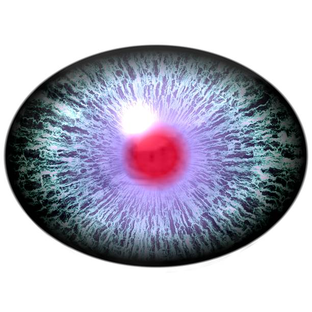 istock Blue animal eye with open pupi. Colorful iris around pupil 509431636