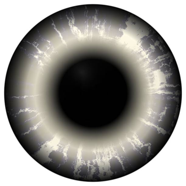 istock Death hungry eye. Illustration of scary dark eye iris, reflection 509431692