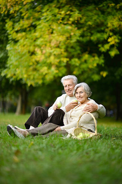 istock Loving elderly couple having a picnic 509432538