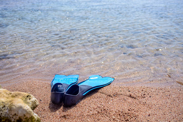 istock Pair of flippers on the seashore 509433204