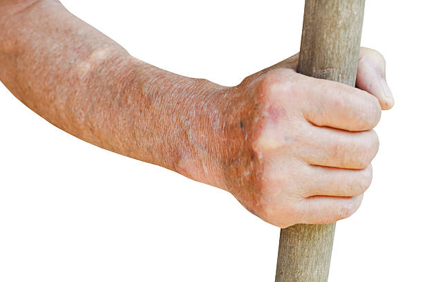istock male hand holds old wooden stalk 509441175