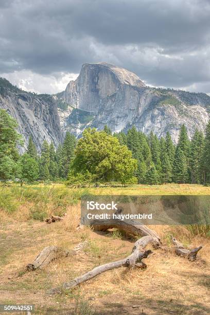 Mountain Scene With Log In Foreground Yosemite California Stock Photo - Download Image Now