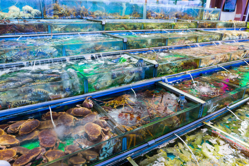 Seafood market fish tank in Hong Kong