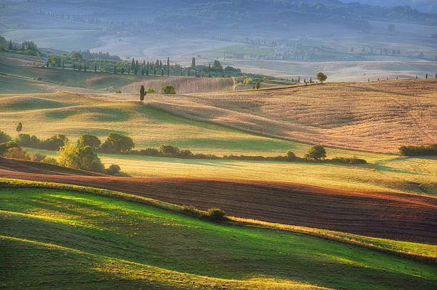 istock Beautiful sunrise over the Val d'Orcia in Tuscany. 509443553
