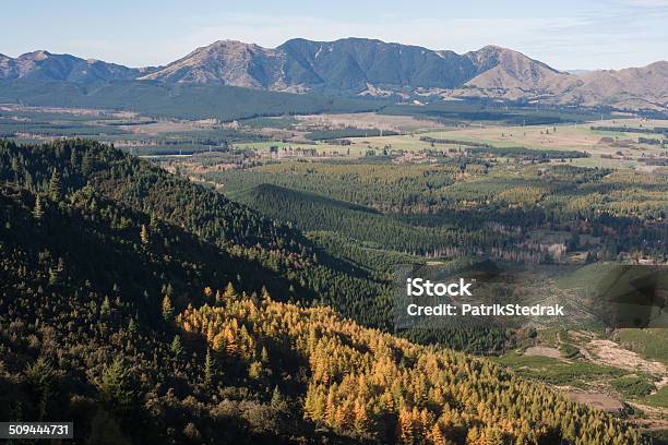 Forested Slopes Above Hanmer Springs In Early Autumn Stock Photo - Download Image Now