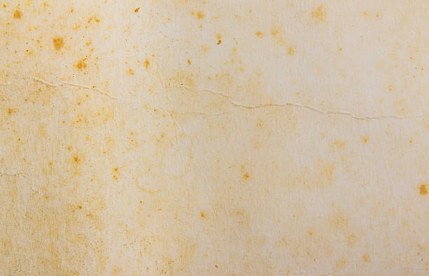 istock retro background with texture of old paper 509444799