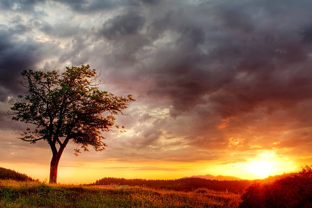 istock Sunset in Bulgaria Mountains 509445247