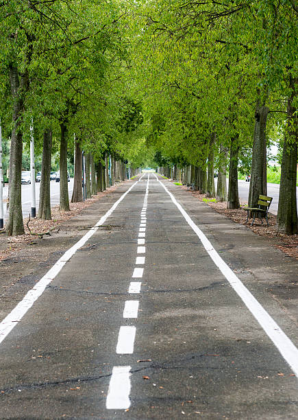 istock Vercelli, cycling lane 509445773