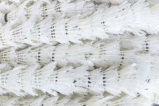 istock used shuttlecock arrange in a row, background 509446249