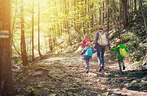 istock Mother and kids hiking in sunny forest 509446803