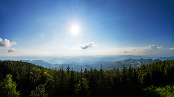 Clear view of forest and sunset