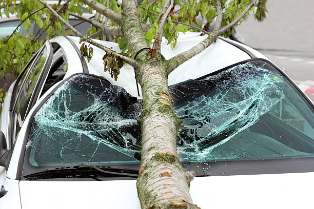 поврежденные автомобиль - car insurance auto accidents accident стоковые фото и изображения