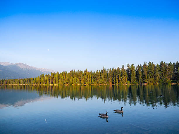 istock Tranquil Scene of Jasper-Alberta-canada 509448605