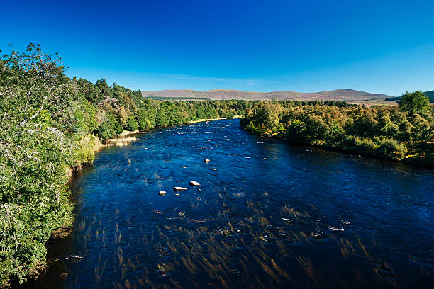 istock River Spey landscape, Scotland 509463743