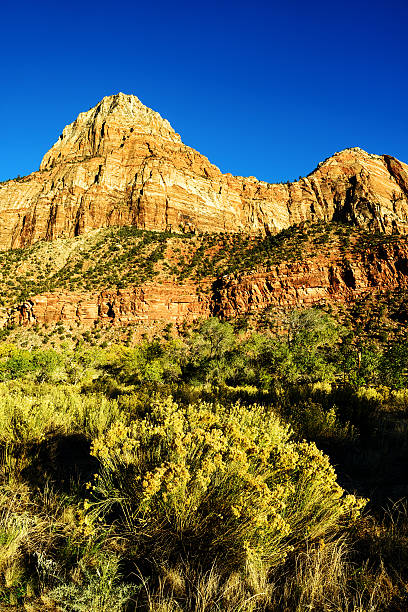 istock Desert Mountains, Zion National Park, Utah 509464037