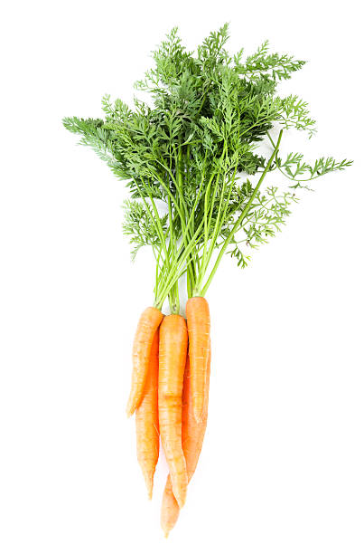 Carrot vegetable with leaves stock photo