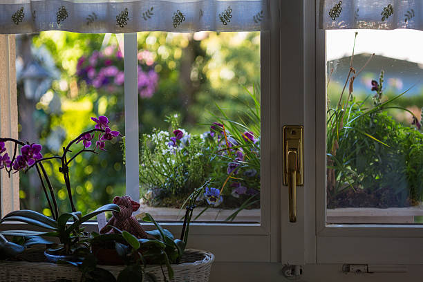 istock colorful flowers at kitchen window 509467081
