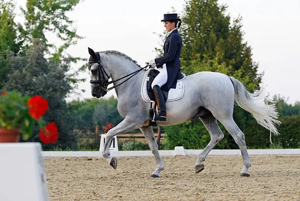 A beautiful young woman riding a Pura Raza Espanola (P.R.E.) horse in dressage test. Canon Eos 1D Mark III.