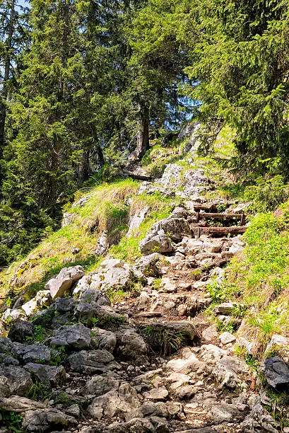 Landscape on the mountain Breitenstein in the Alps in Bavaria, Germany