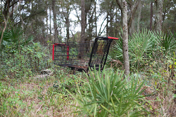 istock Shopping cart abandoned in a park 509471048