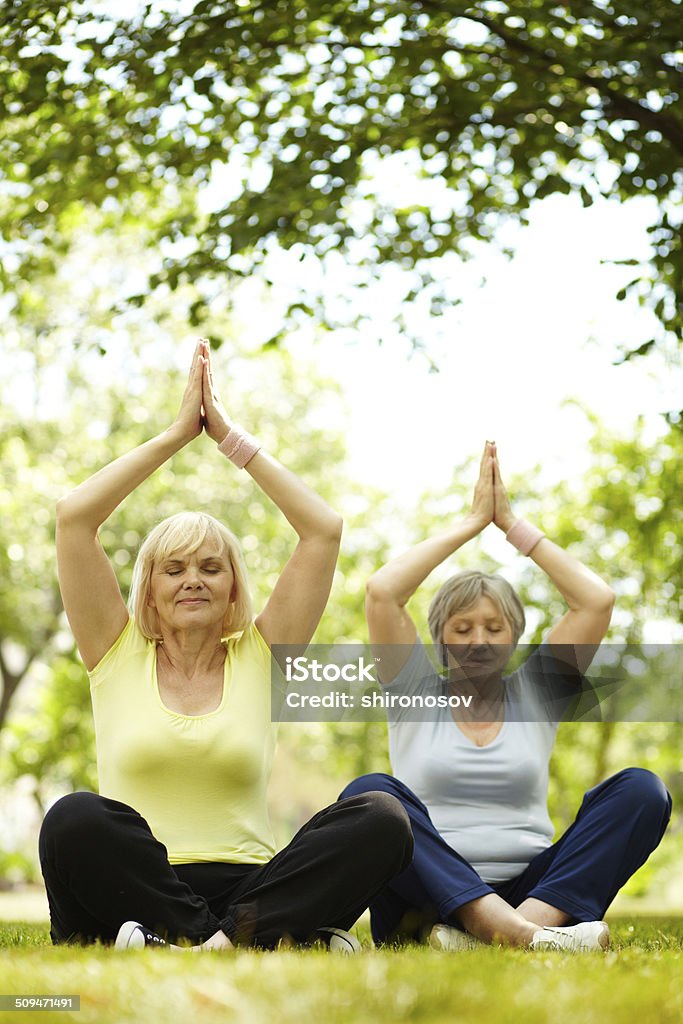Source of energy Portrait of two aged females practicing yoga in park Active Lifestyle Stock Photo